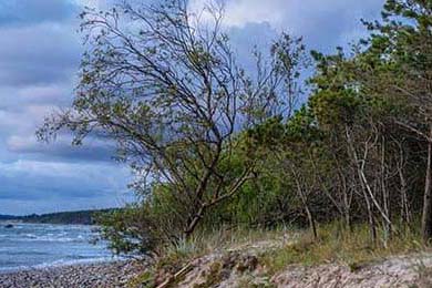 菲律賓男篮在亚洲预赛中表现抢眼，盼望奥运入场券