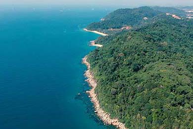 菲律賓男篮在亚洲预赛中表现抢眼，盼望奥运入场券