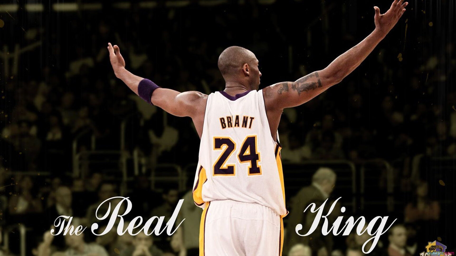 格斗UFC：顶尖对决燃爆擂台，让人目不暇接！，顶级ufc比赛